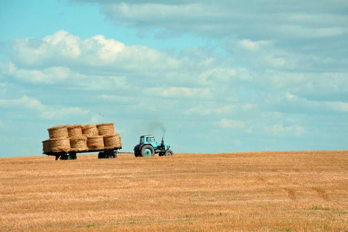 Imagen de demo para: Perspectivas de crecimiento para el sector agrícola