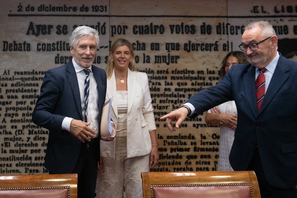 Imagen para: Marlaska defiende a la directora de la Guardia Civil ante la Comisión del Senado