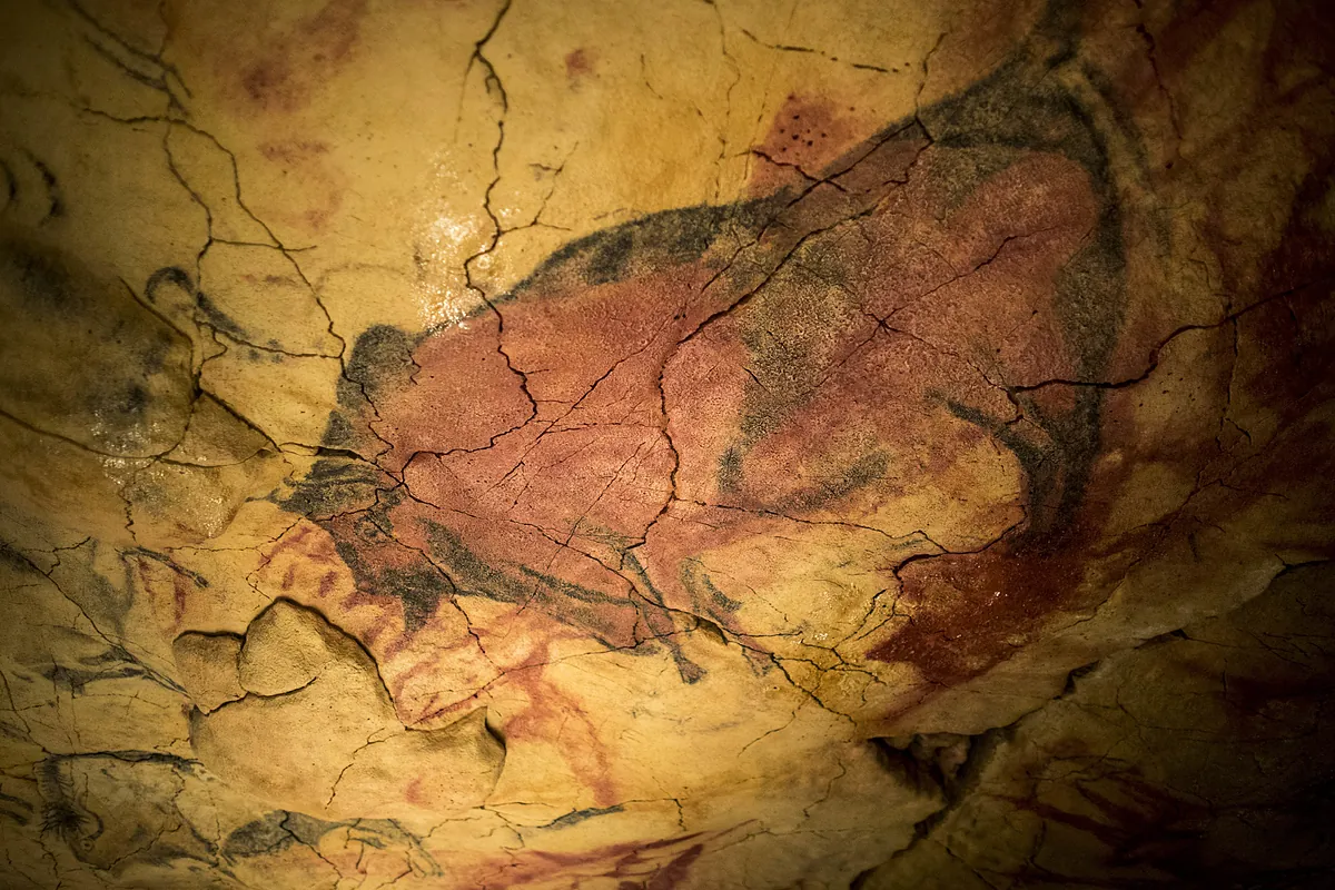 Imagen para: La Cueva de Altamira se transforma en Zona Arqueológica para su mayor protección