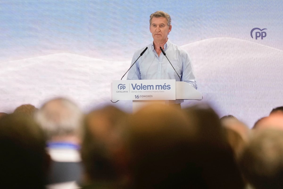 Imagen para: Feijóo y el Debate sobre el Derecho al Voto de los Descendientes de Exiliados