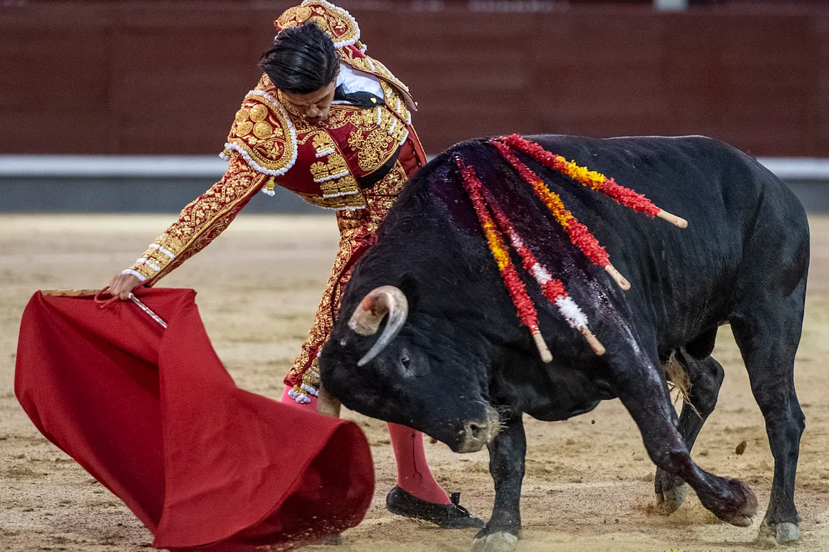 Imagen para: Éxito moderado de la novillada en Las Ventas ante un público mermado