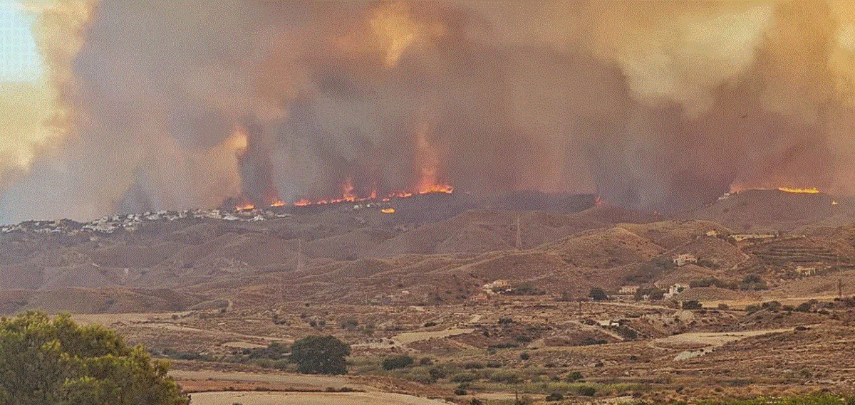 Imagen para: Al menos doce muertos en el incendio de Los Gallardos, Almería: tragedia que conmueve a la comunidad