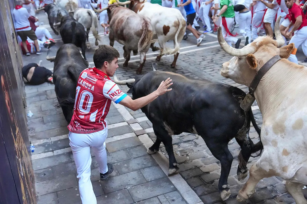 Imagen para: Segundo encierro de San Fermín: Cebada Gago y su leyenda negra desafiada