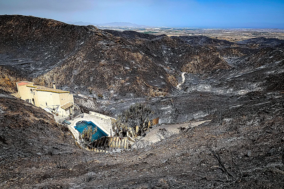 Imagen para: Los Gallardos: el Vesuvio de la Andalucía vacía y sus devastadoras consecuencias