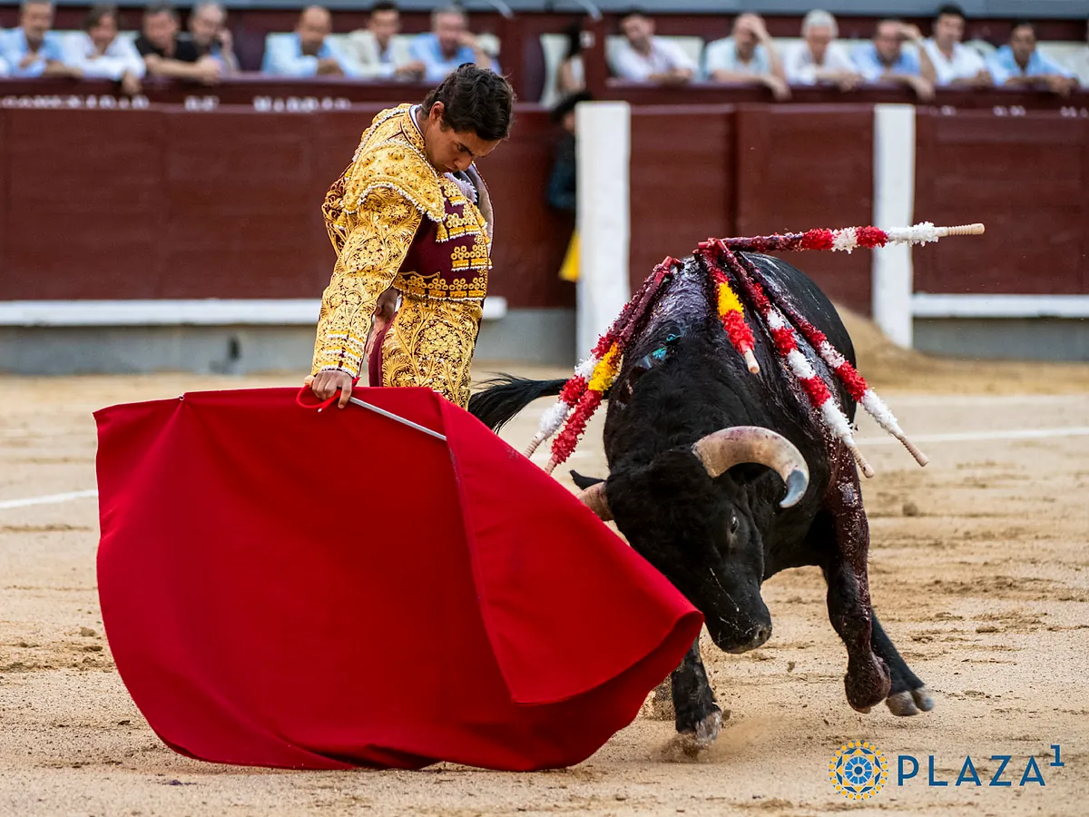 Oreja para Nacho Torrejón: Capacidad y compromiso en las nocturnas de Las Ventas