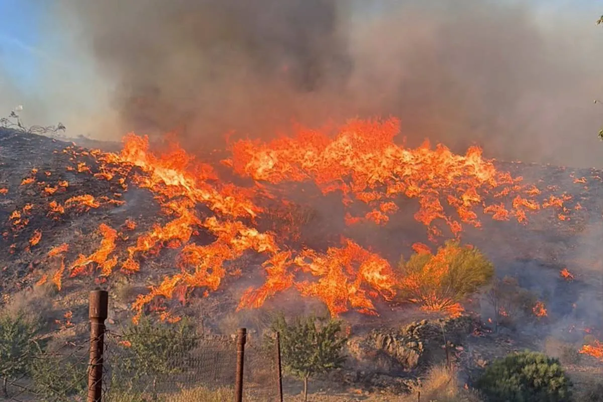 El incendio de Los Gallardos: la tragedia más grave en la historia de Andalucía