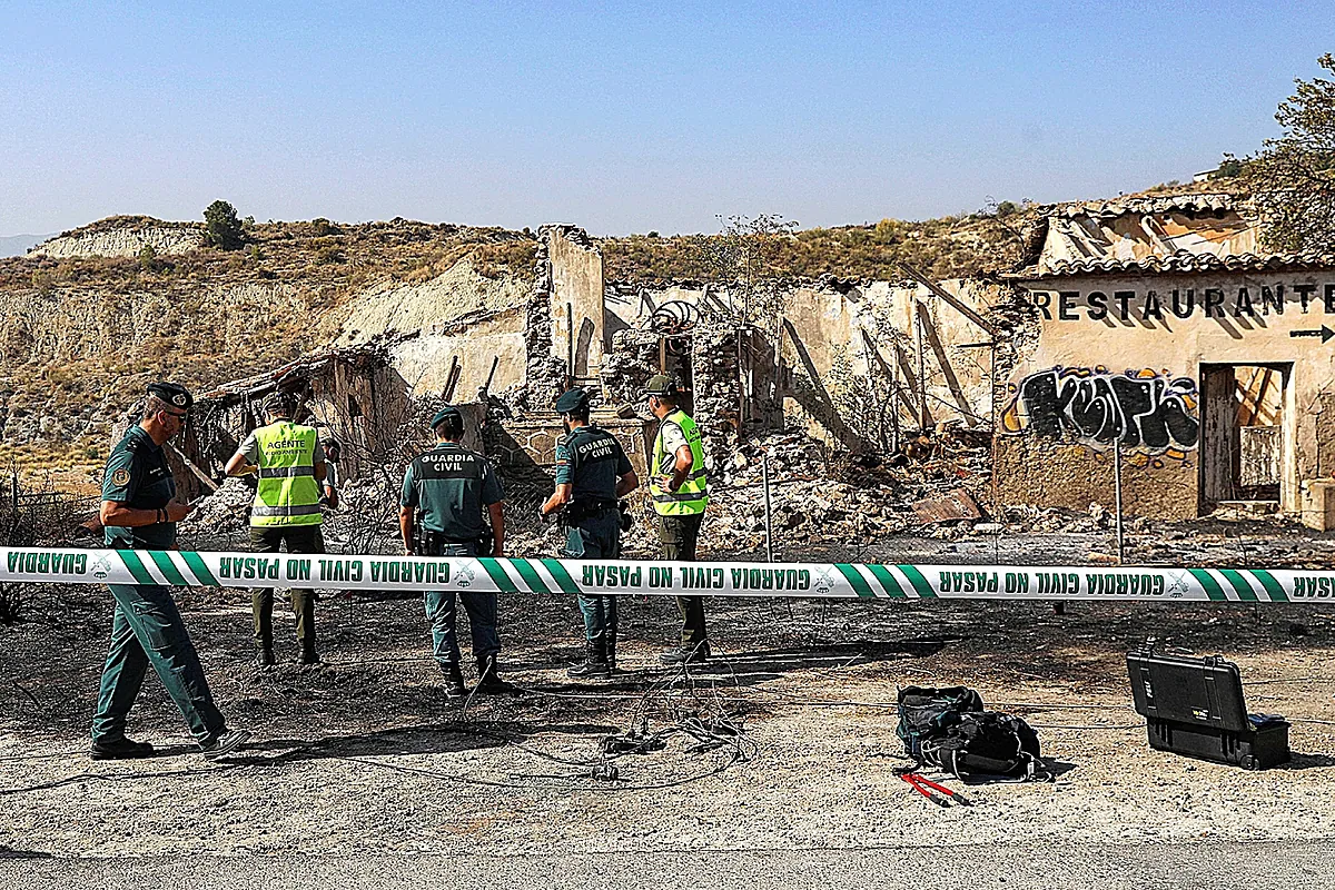 ¿Cómo pudo un cable 'sin electricidad desde 2009' causar el fuego en Los Gallardos según Endesa?