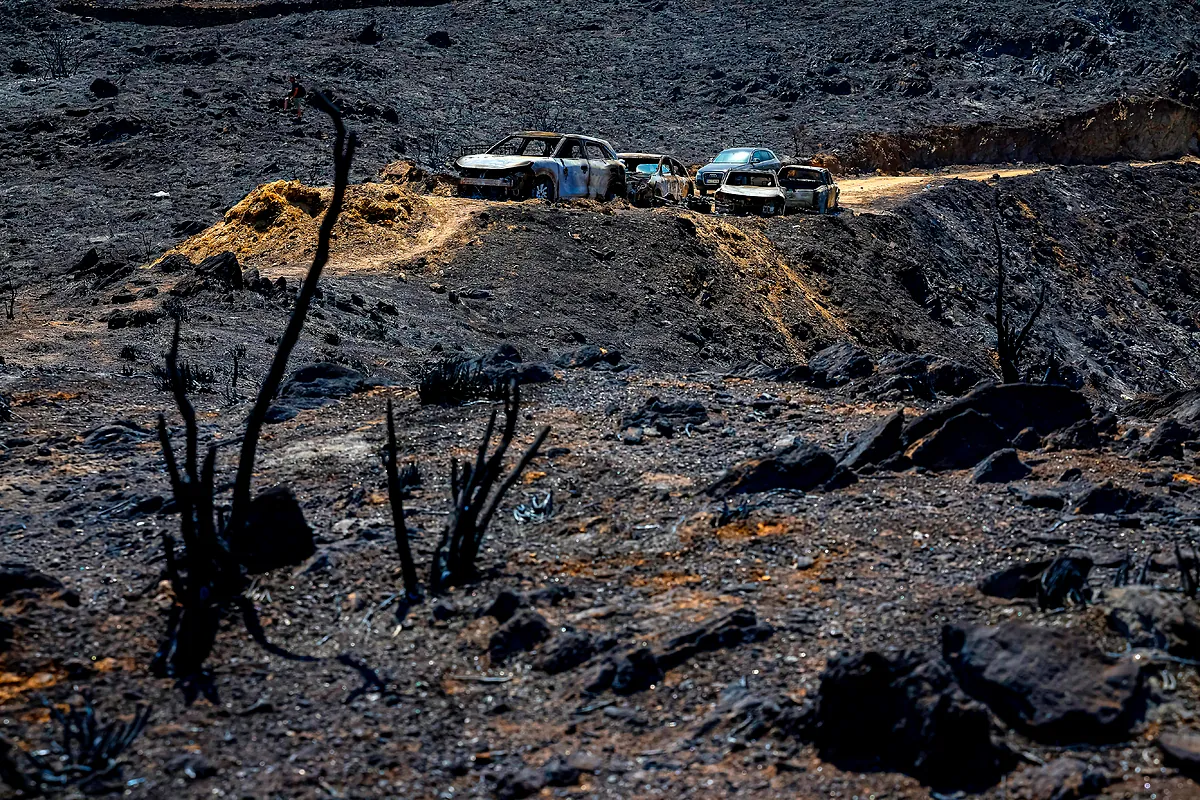 Imagen para: Incendio mortal en la sierra de Bédar: caos y tragedia en la evacuación