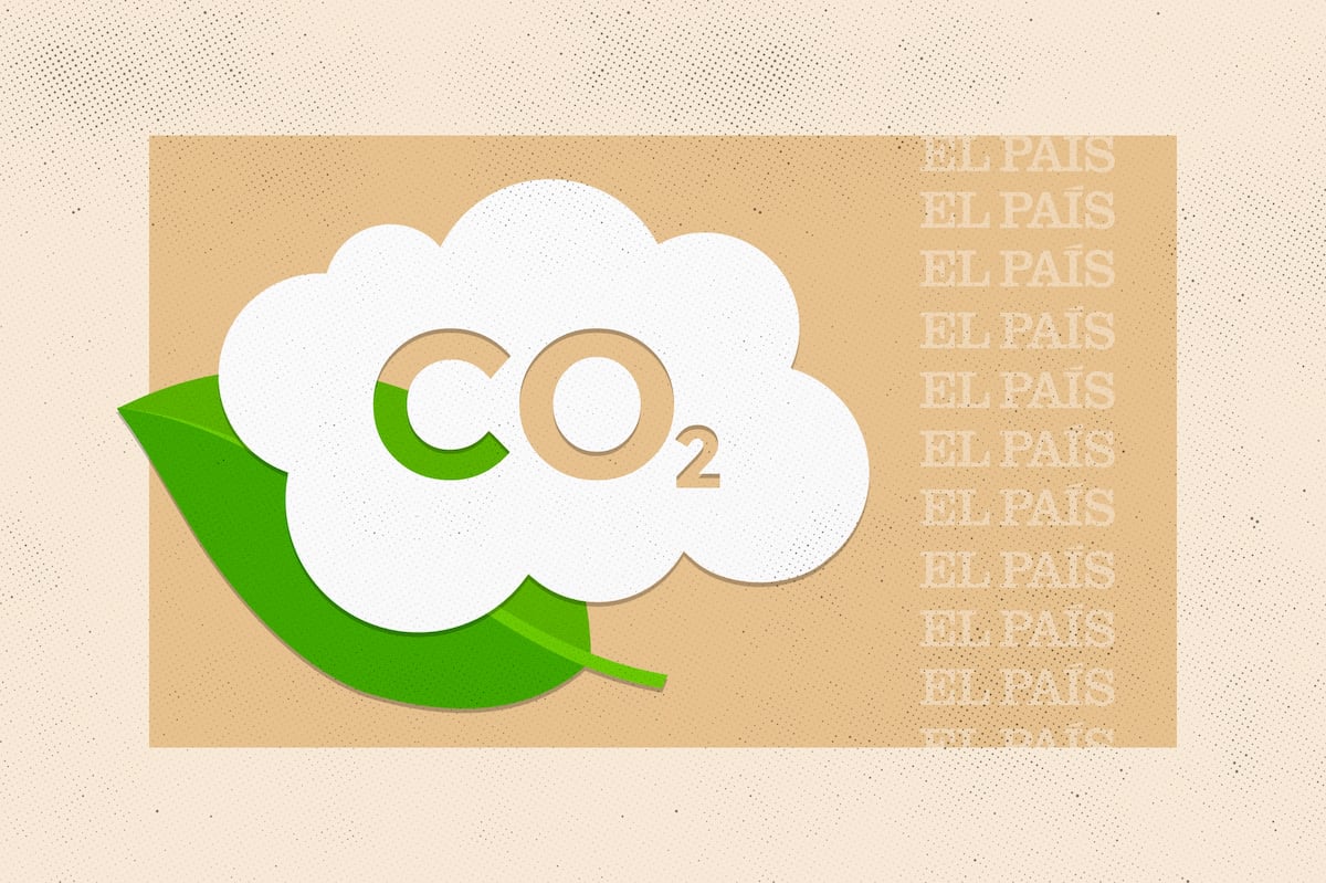 Imagen para: Ni un paso atrás contra la crisis climática: impacto de la eliminación de indicadores en EL PAÍS