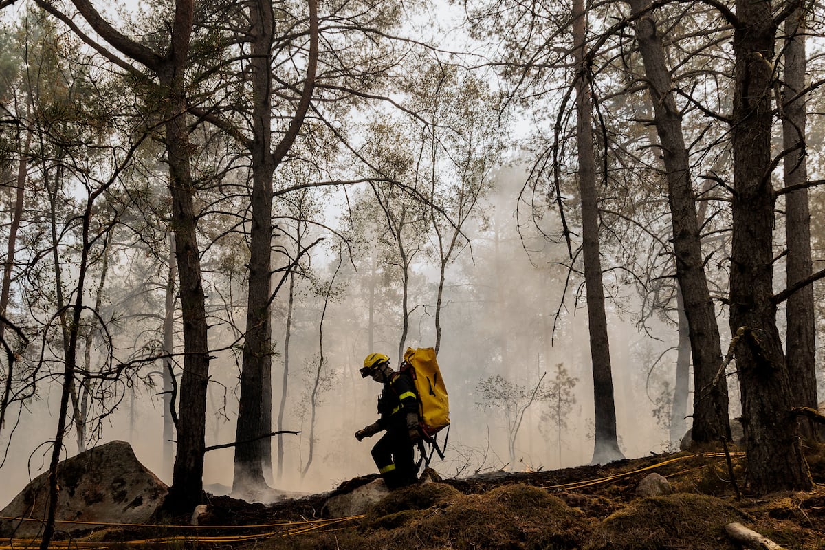 Imagen para: El fuego en el bosque de Fontainebleau avanza hacia París: implicaciones y respuestas
