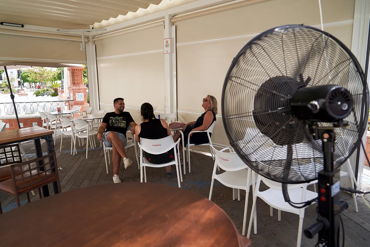 Los 5 mejores trucos para proteger tu cerebro del calor extremo: ¡el chocolate es clave!