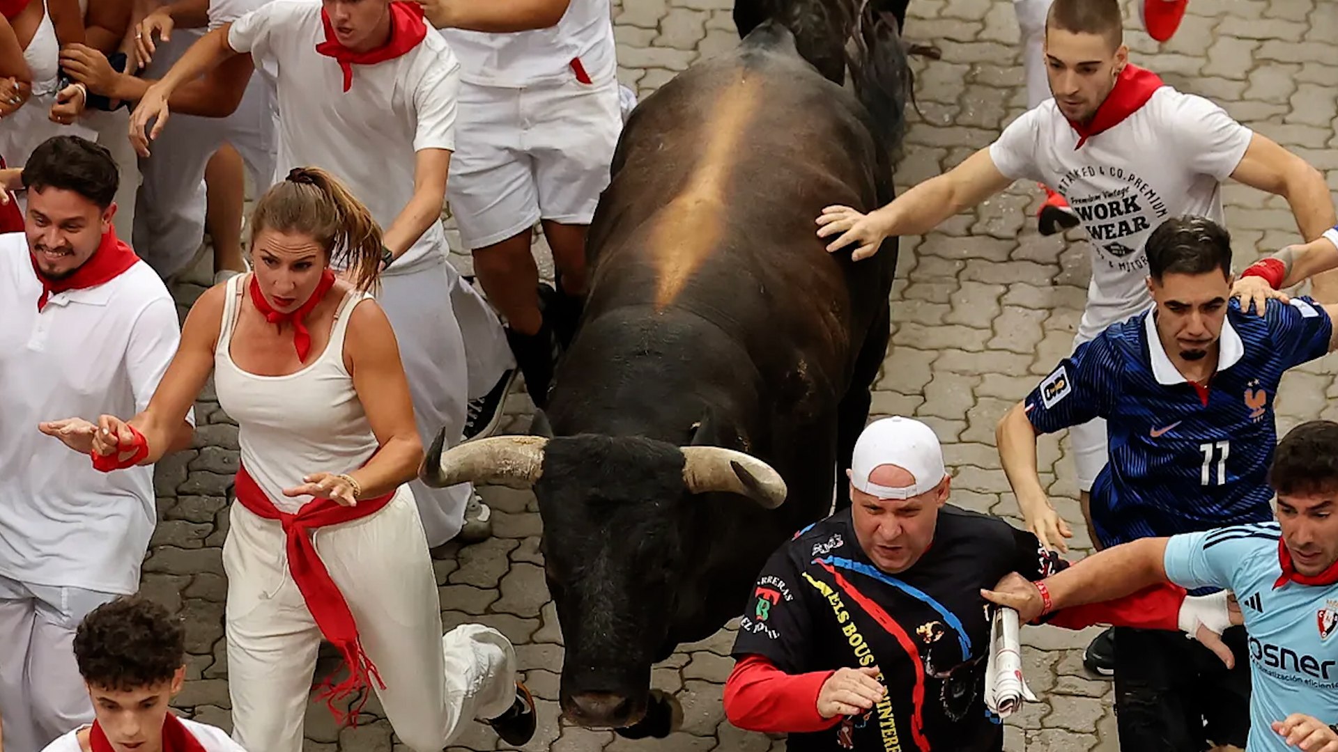 Imagen para: Séptimo encierro de San Fermín: los miuras luchan por liderar la manada