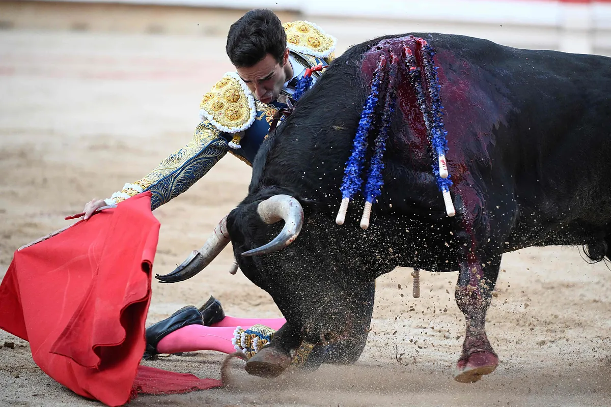 Imagen para: Jandilla y La Palmosilla brillan en la Casa de Misericordia de Pamplona