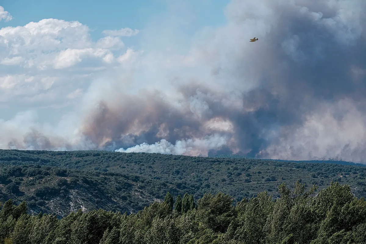 El incendio en la Sierra Norte de Guadalajara arrasa 12.000 hectáreas y se encuentra en nivel 2