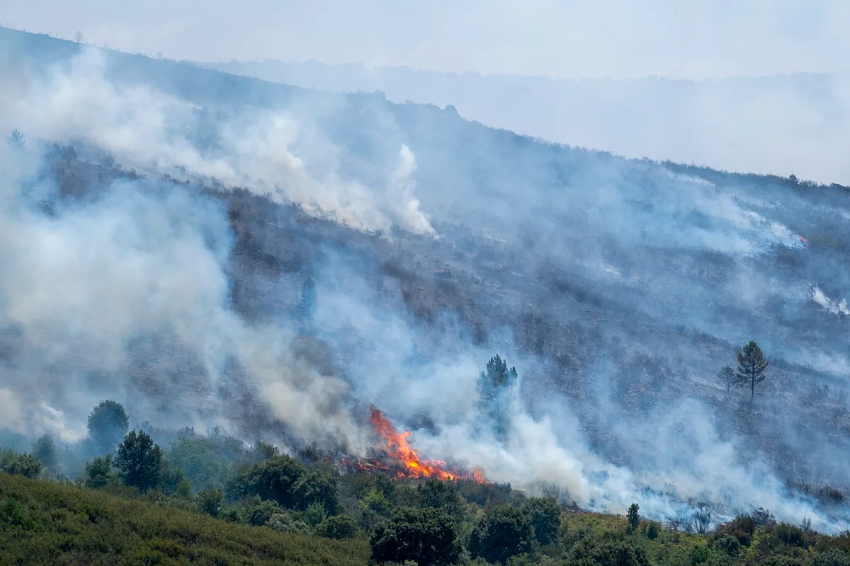 El incendio de La Mierla obliga a evacuar Barcones: impacto en Castilla y León