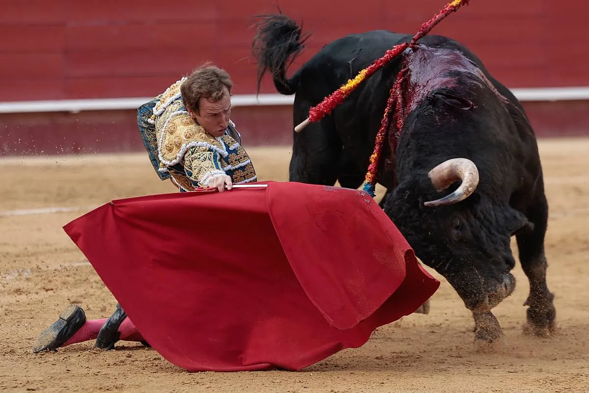 Imagen para: La reivindicación de Román Collado y la entrega de Nek Romero en Valencia: un regreso triunfal