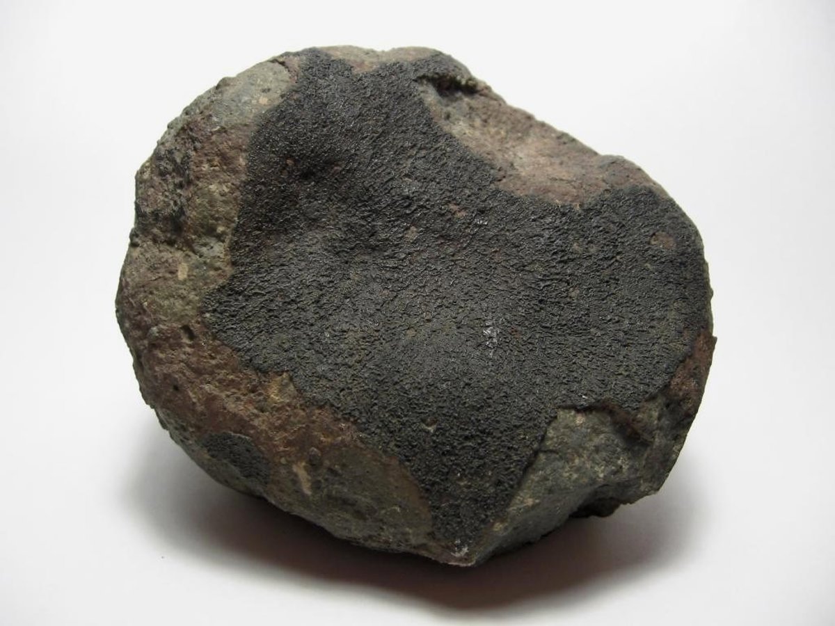Imagen para: Se cumplen 48 años de la caída del meteorito Allende, el más estudiado del mundo